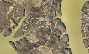155 Spring Branch Road
