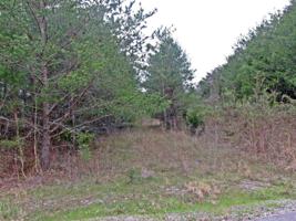 266 Boyer Lane