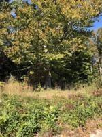 Lot 99 Tatum Point