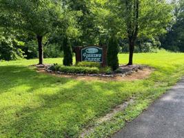 10 Fishing Creek