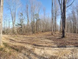 95 Eagles Bluff Lane