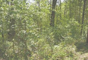 0000 Log Haven Road