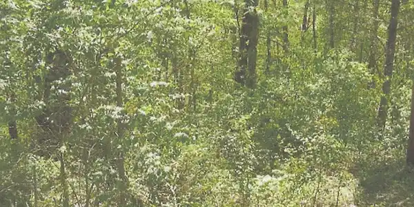 0000 Log Haven Road