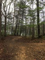 Lot #9 Lone Ridge Trail - Park Forest Road