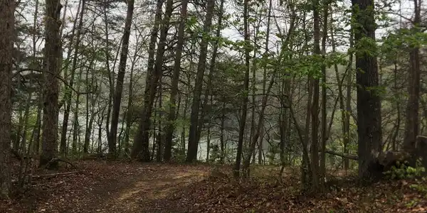 Lot #9 Lone Ridge Trail - Park Forest Road