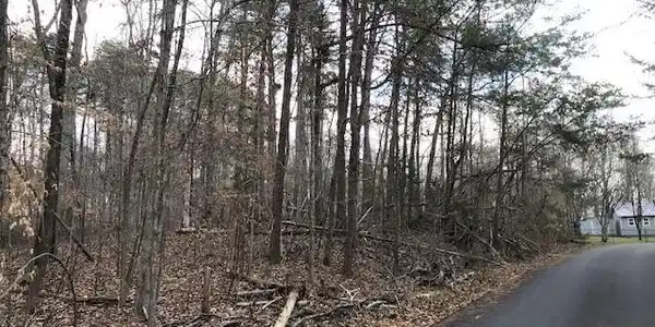 47 & 48 Harbor Springs Rd.