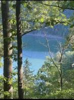 Lot #10 Lone Ridge Trail - Park Forest Road