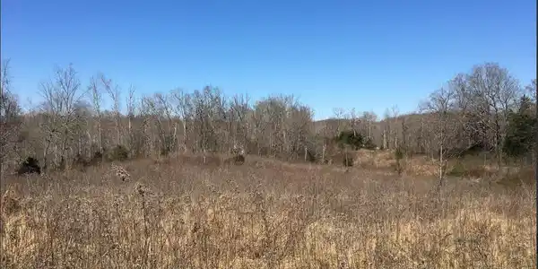 60 Jones Ridge Road