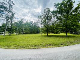 040 Oakland Drive
