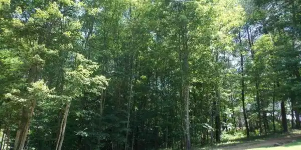 Lot 84&85 Golden Pond Road