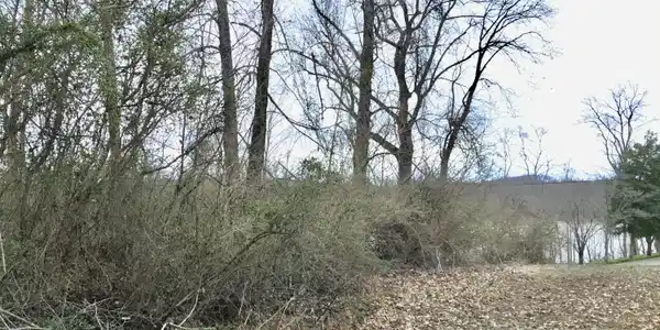 300 Mystic View Road