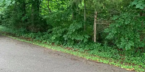 24 Dale Hollow Lane