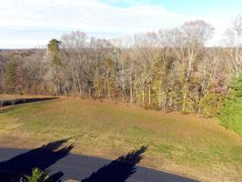 3 Laurelwood