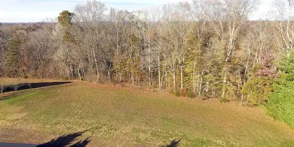 3 Laurelwood