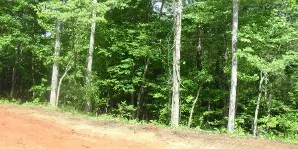 1 Hwy 789