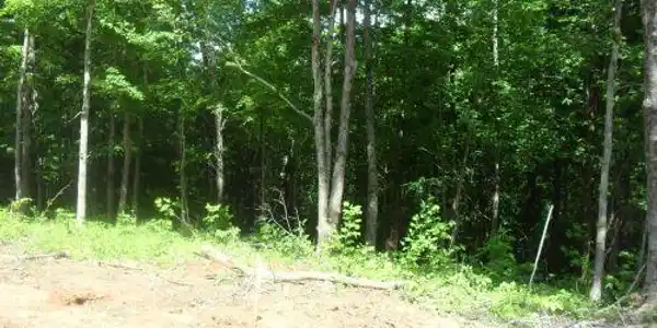 2 Hwy 789