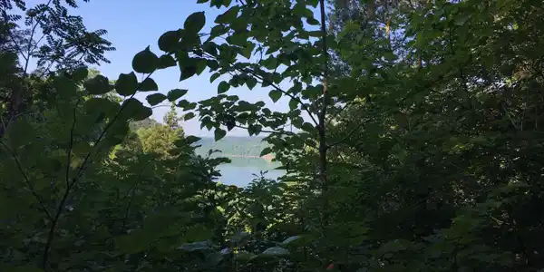 71 Lake Path Road