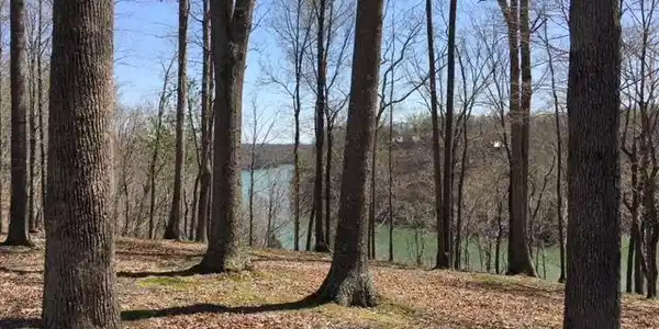 Lot 8 Cherry Loop