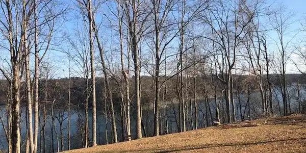 Lot 17 Cherry Loop