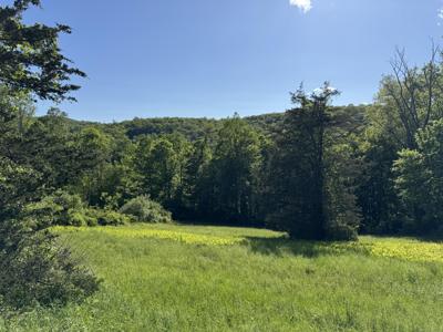 Rte 39 South, State Route