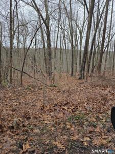 165 Housatonic Trail