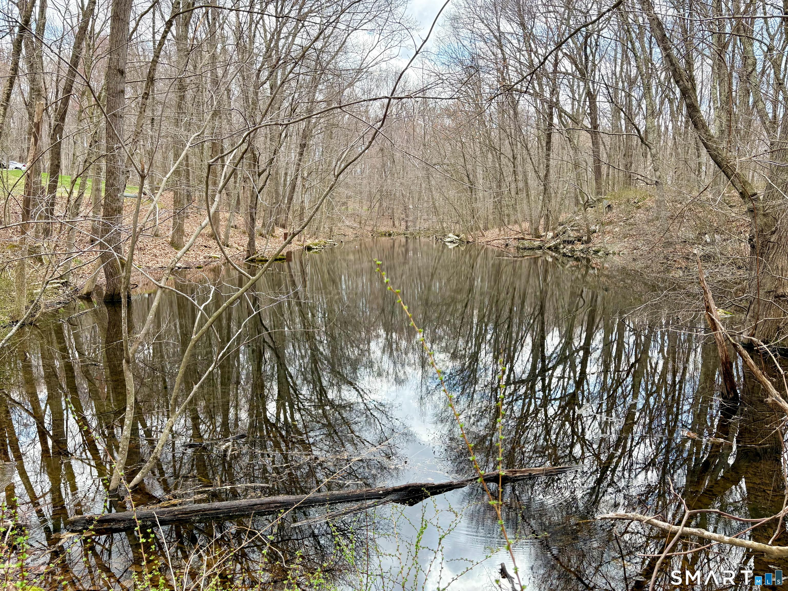 Image 4: Stream-fed pond on property