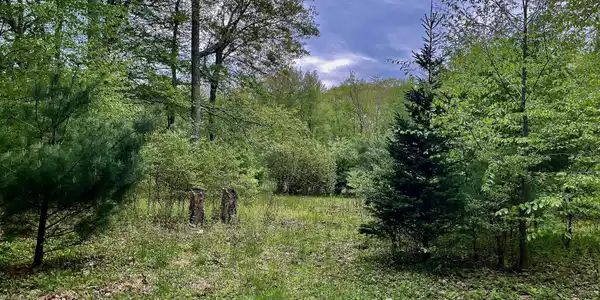 Meadow Brook Road