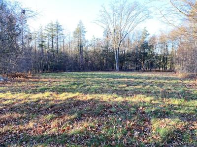 40 Pond Ridge Road