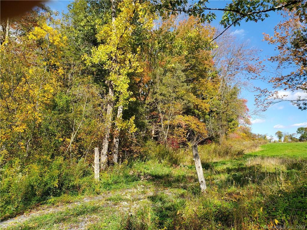 Image 4: South edge of #556 abutting access to 90+ acre field