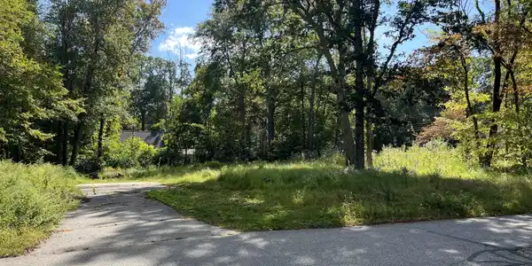 282 Deepwood Drive
