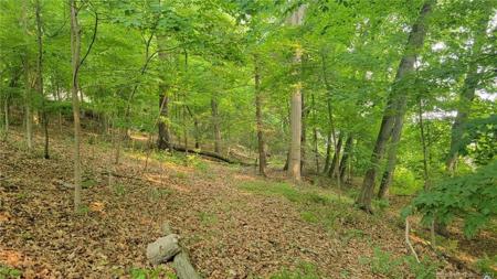 656a Candlewood Lake Road South