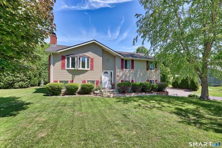 97 Dorothy Lane