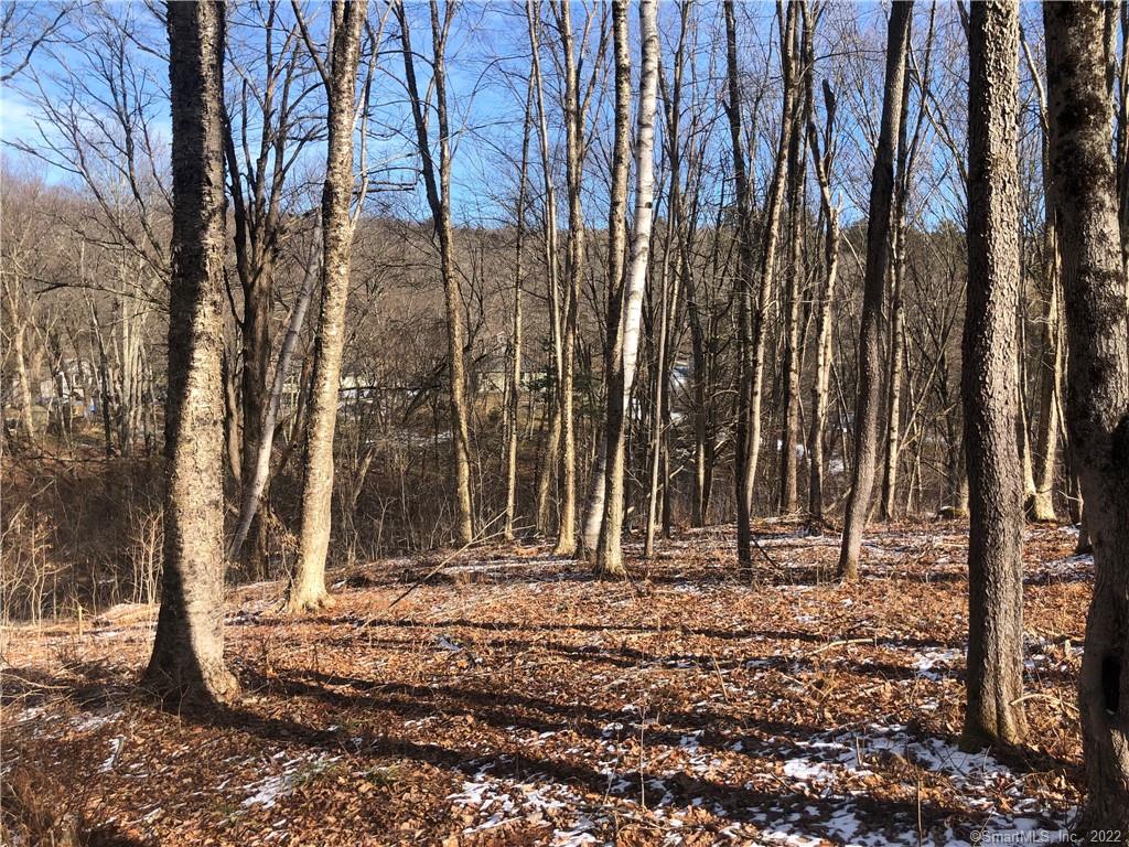 00 Keegan Road, Plymouth, CT lhrmls01139400