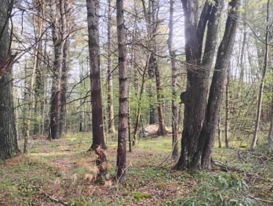 0 Deer Run Lane