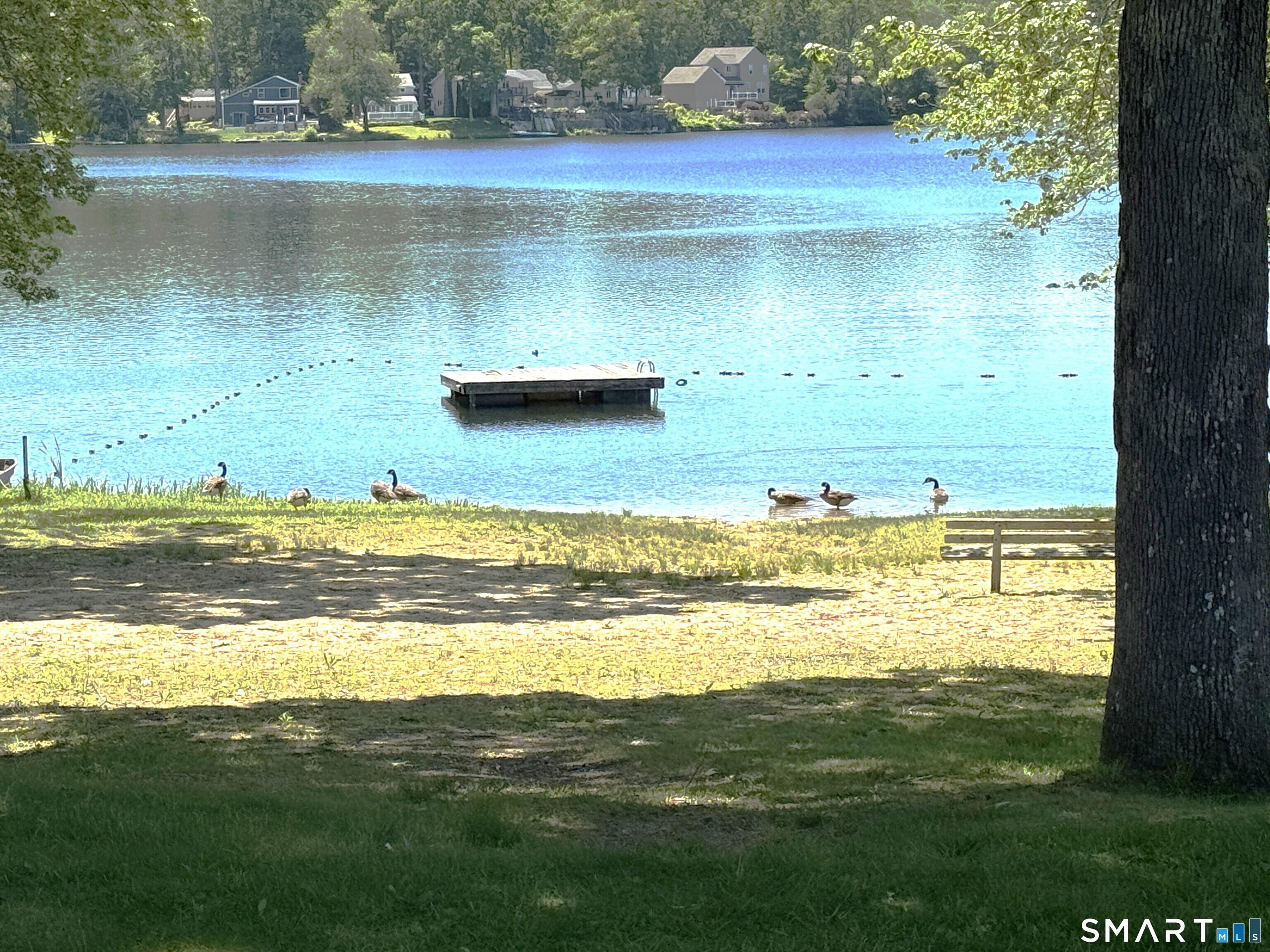 Image 3Other: Lake Association one of many beaches. Geese included.