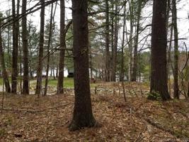000 Laurel Hill Dr