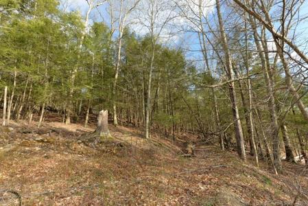 Lot 25A Upper Fish Rock Road