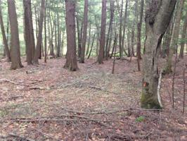 Lot 235 Canterbury Court