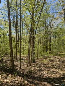 Englewood Trail