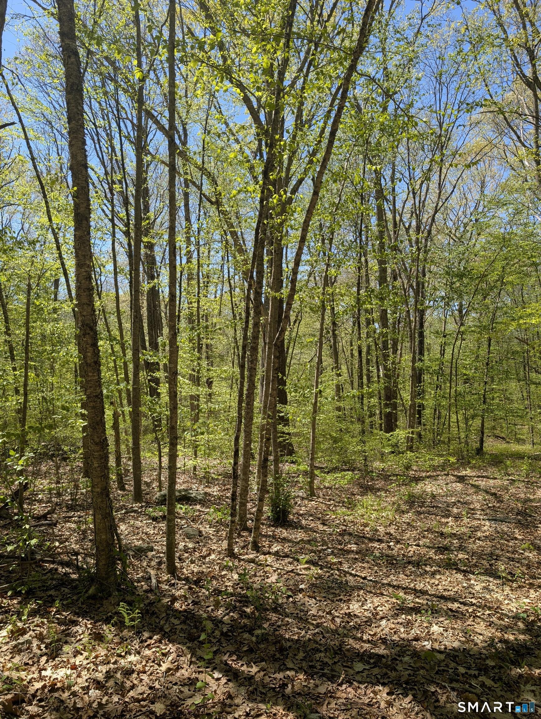 Image 1: Lots 33-34 and Lots 54-55. 50ft on Englewood Trail, 50 feet on Greenridge Trail and approximately 200 feet on each side of the lot.