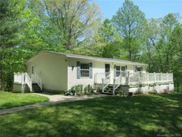 49 Scanlon Terrace