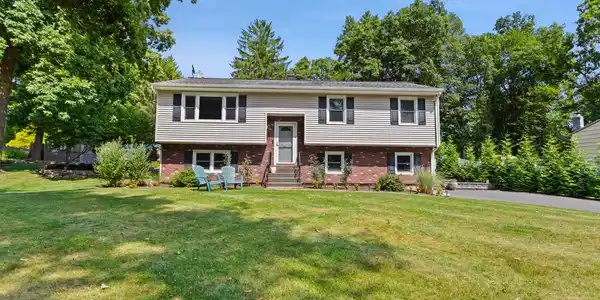 41 Wilkes Road