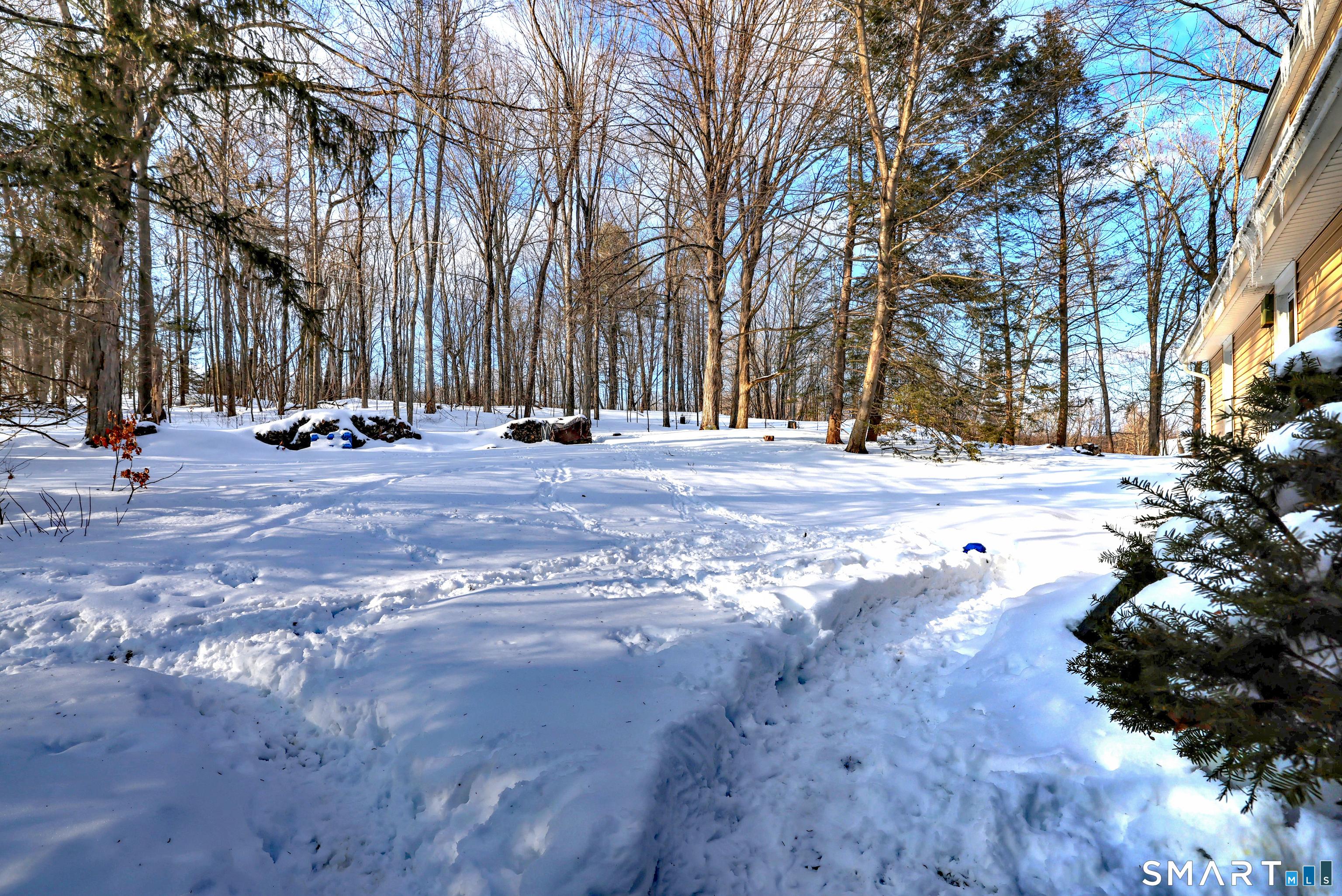 Image 3: A spacious, tree-lined yard gives you plenty of room to relax, garden, or enjoy the outdoors in every season.