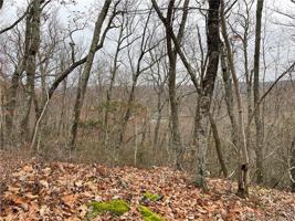 471 Skyline Ridge Road