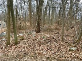 63 Woodland Drive
