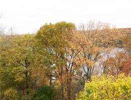 81 Clearview Drive