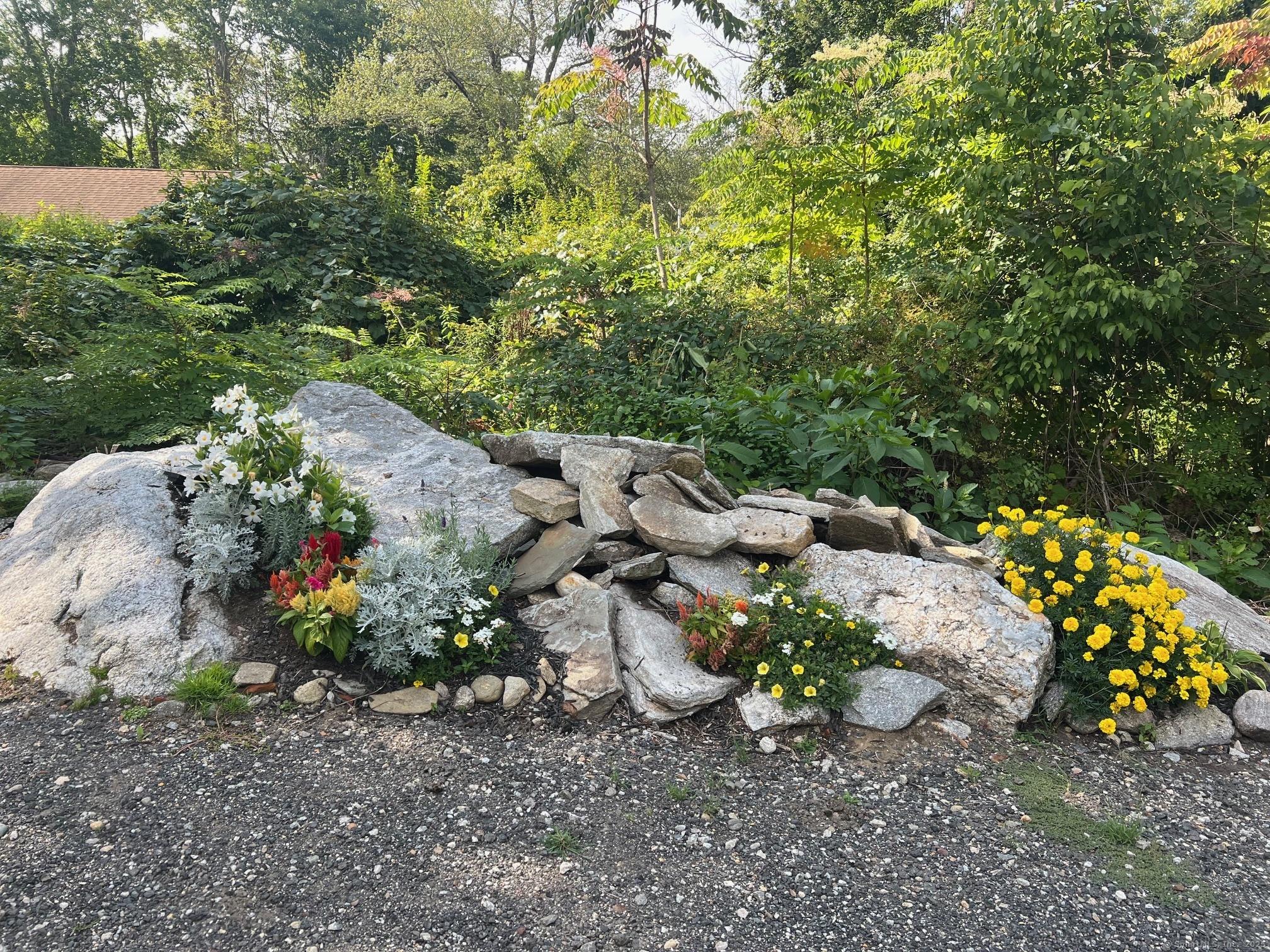 Image 3: Creative plantings on the side of the driveway