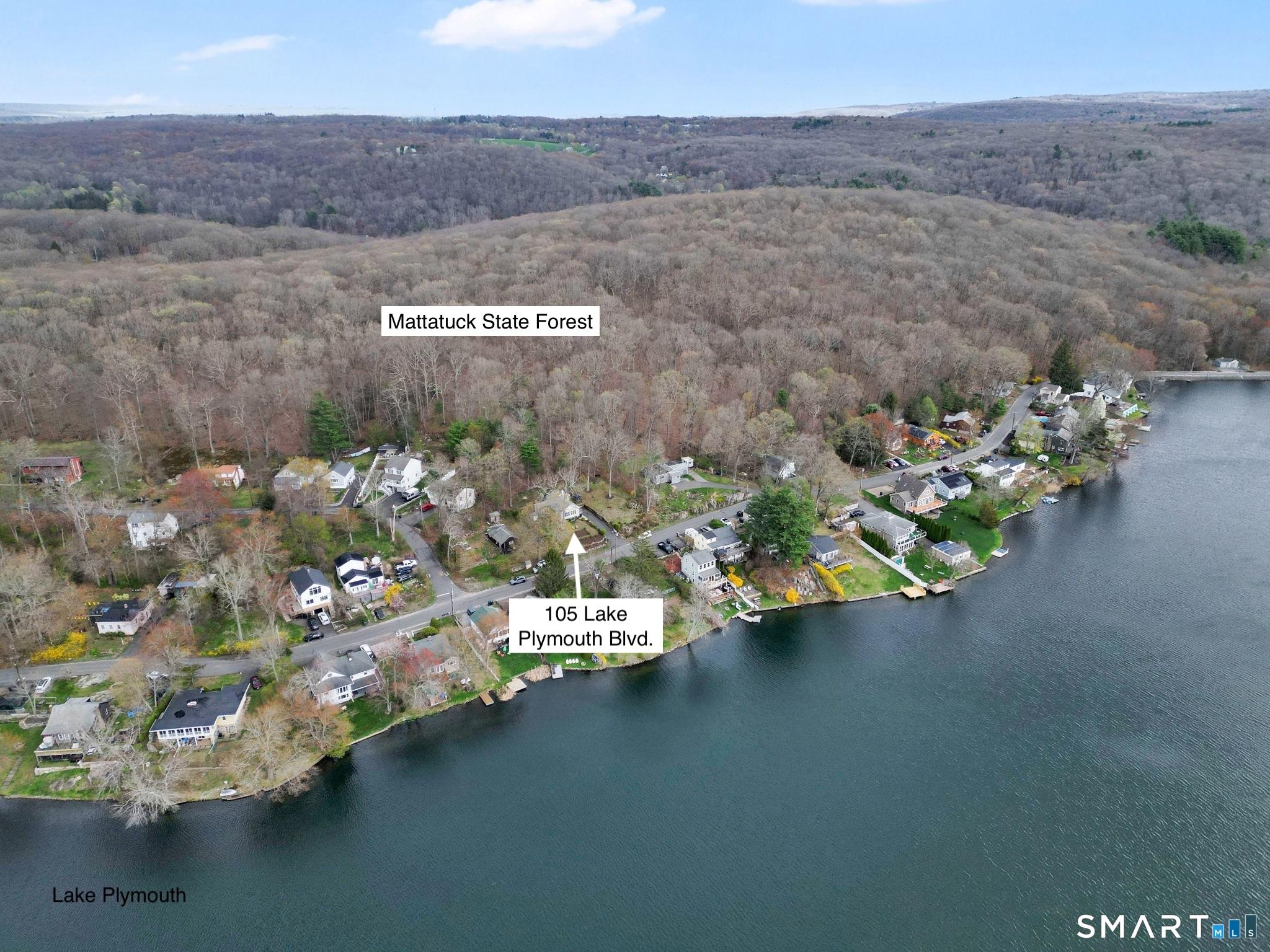 Image 3: Hike the state forest right from your back yard