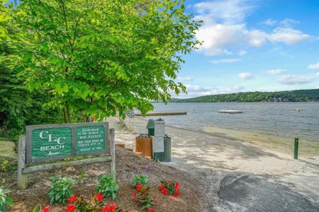 3 Forest Trail