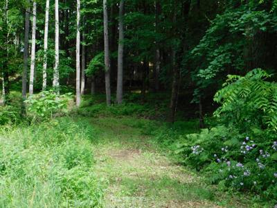 215 Taconic Road